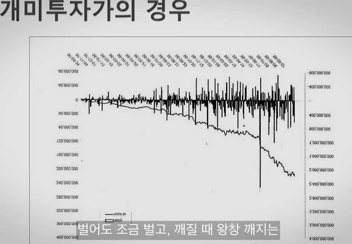 개미